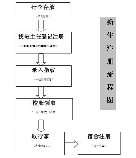 新生注册流程图（中文1）.jpg